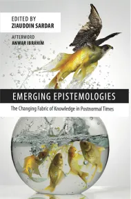 Emerging Epistemologies Cover